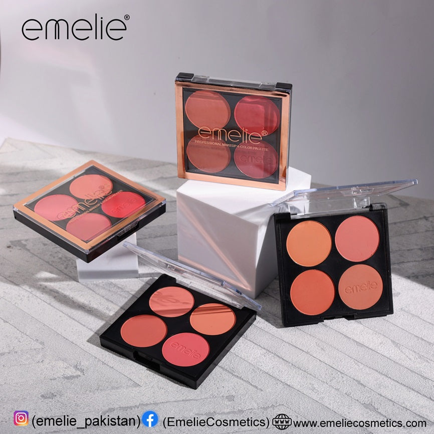 Professional Makeup 4 Color Palette
