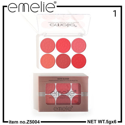 Matte Blusher 6 Color Pallete