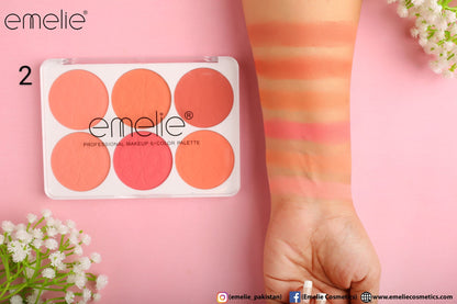Matte Blusher 6 Color Pallete