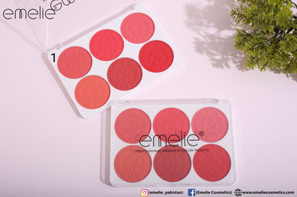 Matte Blusher 6 Color Pallete