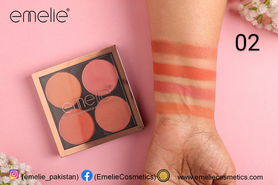 Professional Makeup 4 Color Palette