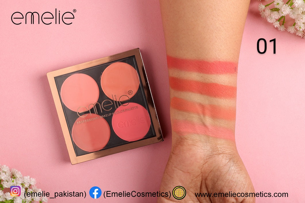 Professional Makeup 4 Color Palette