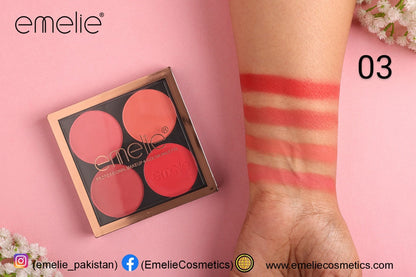 Professional Makeup 4 Color Palette