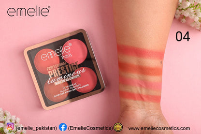 Professional Prestige Luminous Matte Blusher