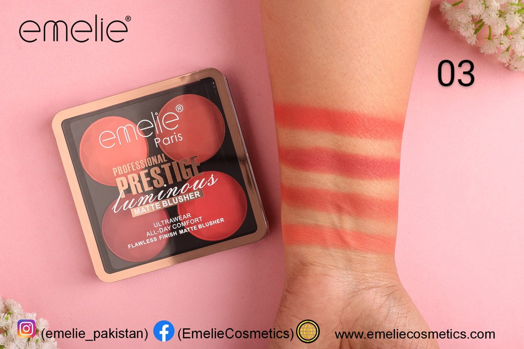 Professional Prestige Luminous Matte Blusher