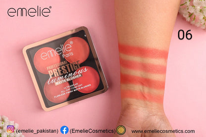 Professional Prestige Luminous Matte Blusher