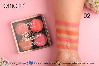 Professional Prestige Luminous Matte Blusher