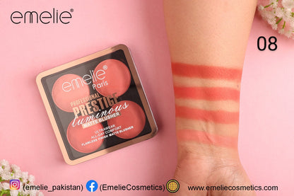 Professional Prestige Luminous Matte Blusher