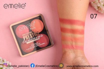 Professional Prestige Luminous Matte Blusher