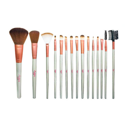 Aqua color line 15 pieces Brush Set.