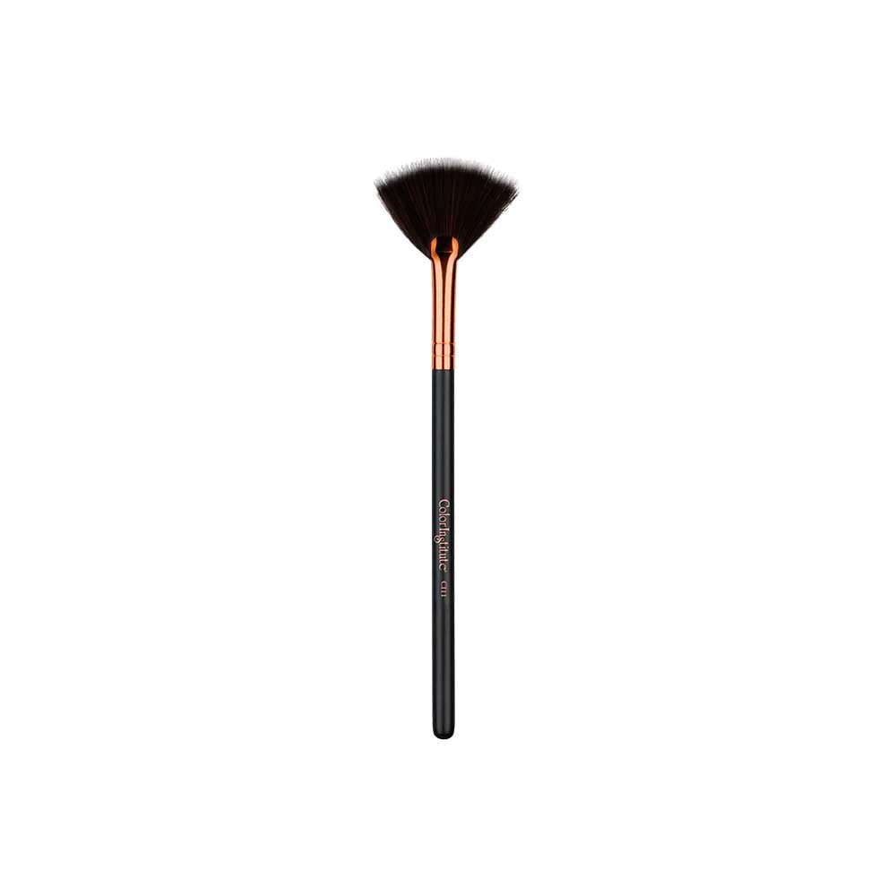 Colour Institute Fan Brush CI-11