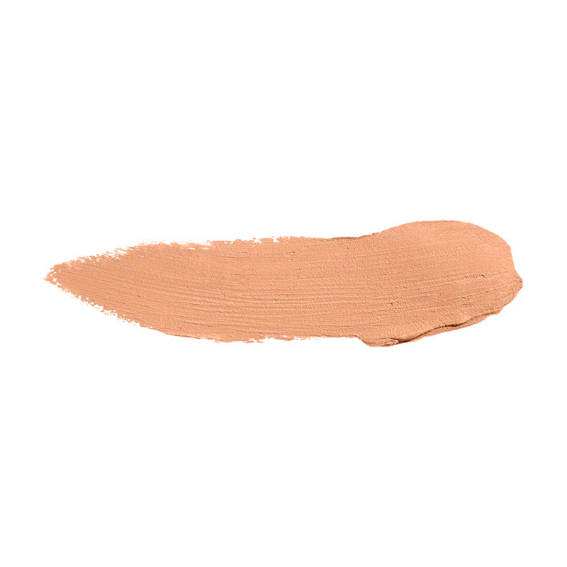 Color Institute Foundation Stick