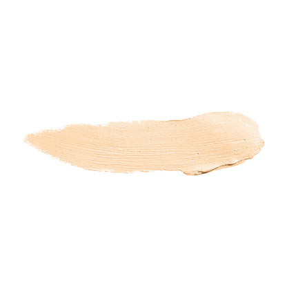 Color Institute Foundation Stick