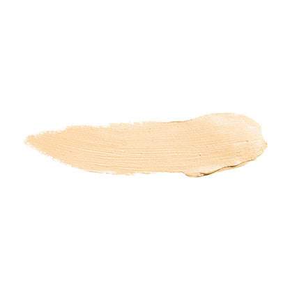 Color Institute Foundation Stick