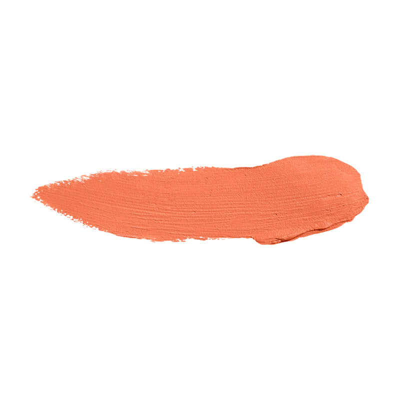 Color Institute Foundation Stick