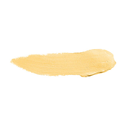 Color Institute Foundation Stick