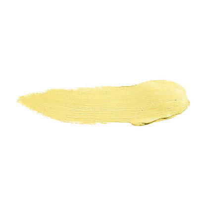 Color Institute Foundation Stick