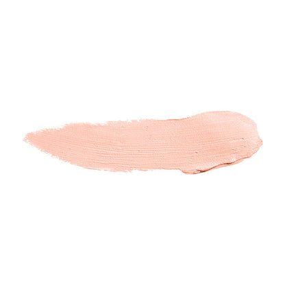 Color Institute Foundation Stick