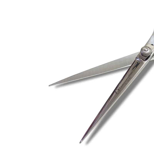 Glamorous Face Professional Hair Cutting Scissor, Hair Shears 6.5 inch Silver Color